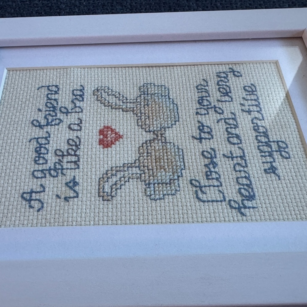 Framed Needlepoint Art Cottagecore Humour - A Good Friend Is Like a Bra - Picture 5 of 7